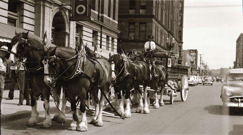 Time Machine: Wilson & Co.’s Clydesdales