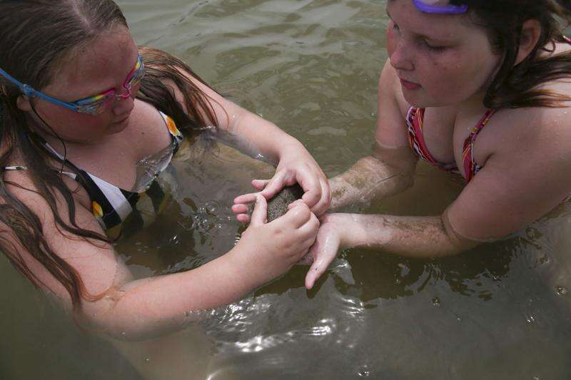 Harmful algae at Lake Macbride causes first-ever swim warning for toxins