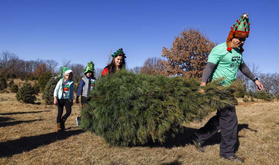 Real Christmas trees a ‘heartwarming tradition’