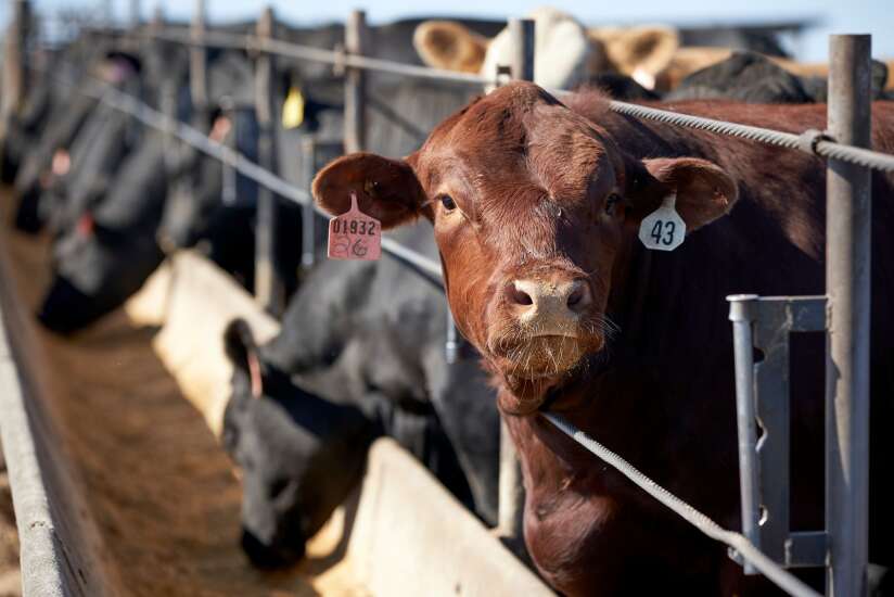 Largest food supplier accuses beef plants of price fixing