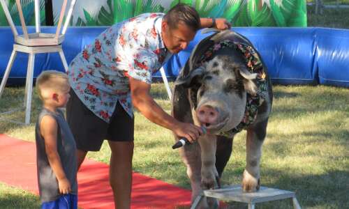 Fair show features dogs, camels, giant pig