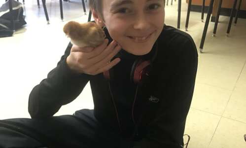 North Cedar students learn about life through chickens