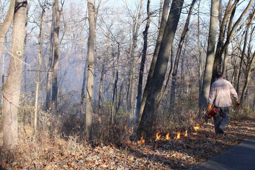 Jefferson County Park undergoes controlled burn