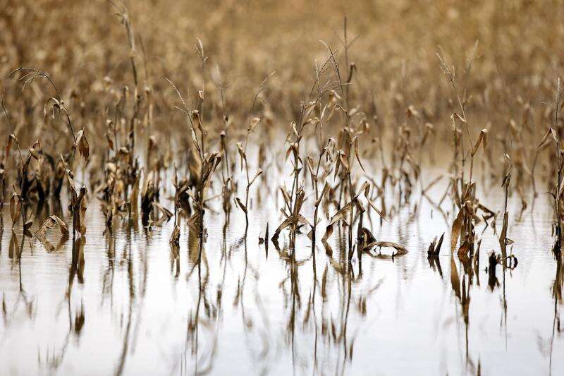 Iowa farmers got $243 million in flood crop insurance over 20 years