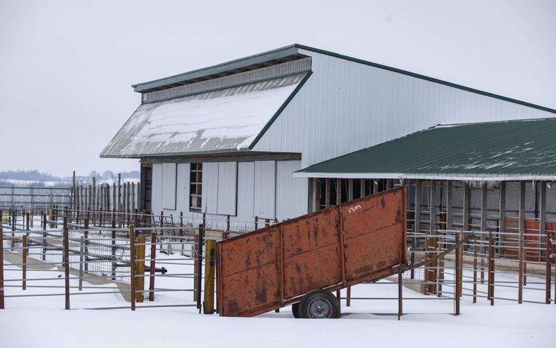 Iowa farm bankruptcies continue to rise, despite aid
