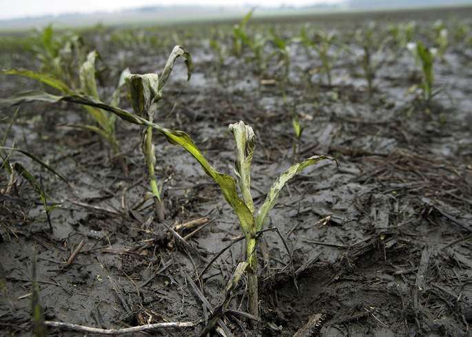 Wet spring stresses Iowa farmland