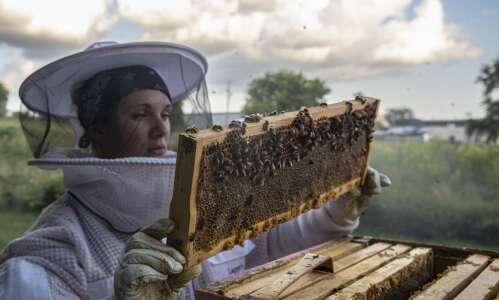 Women at Anchor Center in Cedar Rapids raising bees