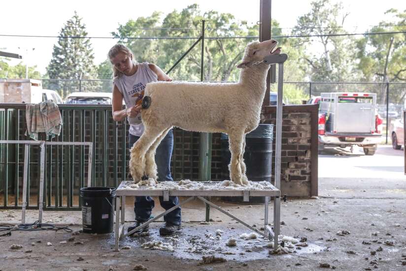 Photos: Opening day at the Iowa State Fair