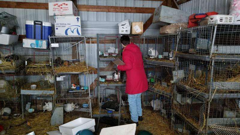 Settlement reached over neglected animals seized from Vinton home