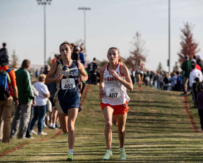 Photos: Iowa Class 2A state cross country qualifier at Monticello