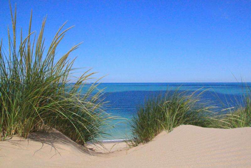 Finding beach fun in the north sands: Summer play beckons in the Indiana Dunes