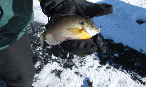 Washington County to host youth ice fishing clinic Jan. 22
