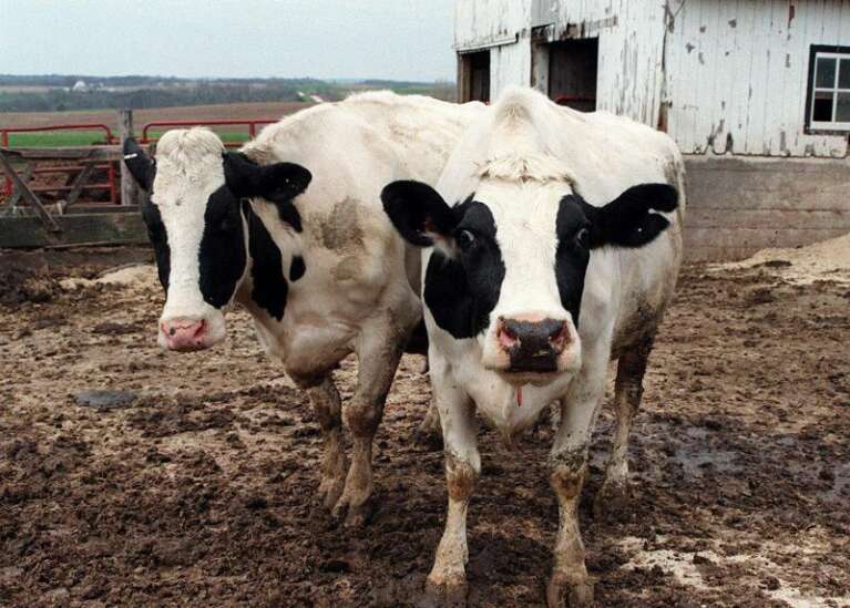Send in the milk police: Iowa Democrats outraged at raw milk legalization bill
