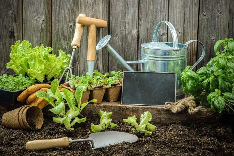 The Iowa Gardener: How to grow a green thumb