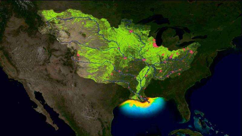 An enhanced satellite image from the National Oceanic and Atmospheric Administration shows how poor water quality in the central United States — including Iowa — can have a cumulative impact in creating a 'dead zone' in the northern Gulf of Mexico each summer. On the image of the continental United States, red dots indicate large cities and green areas indicate farmland. Water pollution — notably nitrates used in farming — flow downstream where each summer they create a zone near the mouth of the Mississippi River that's so low in dissolved oxygen it can't support marine life. The most intense areas of the dead zone are shown in orange and yellow. (Photo from NOAA) 