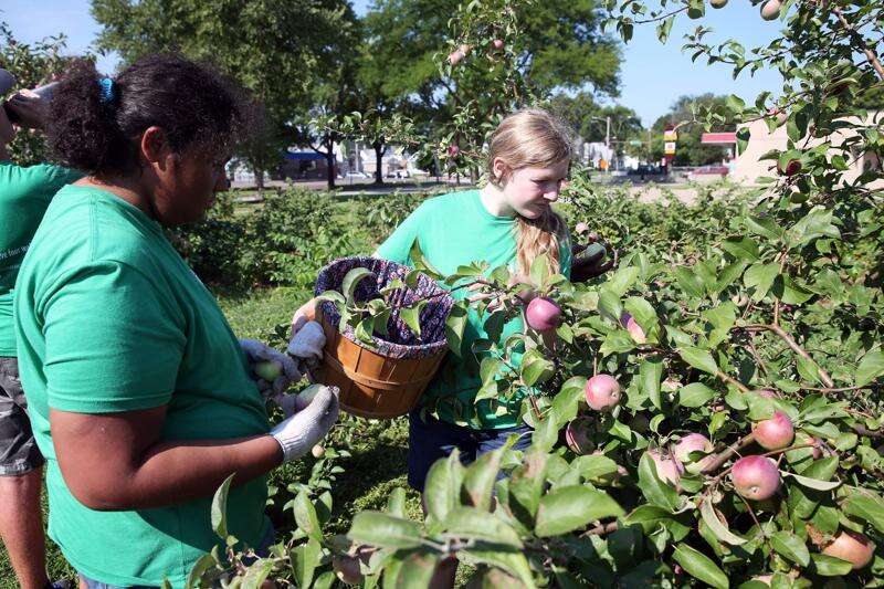 Youth development program works to Cultivate Hope on urban farm