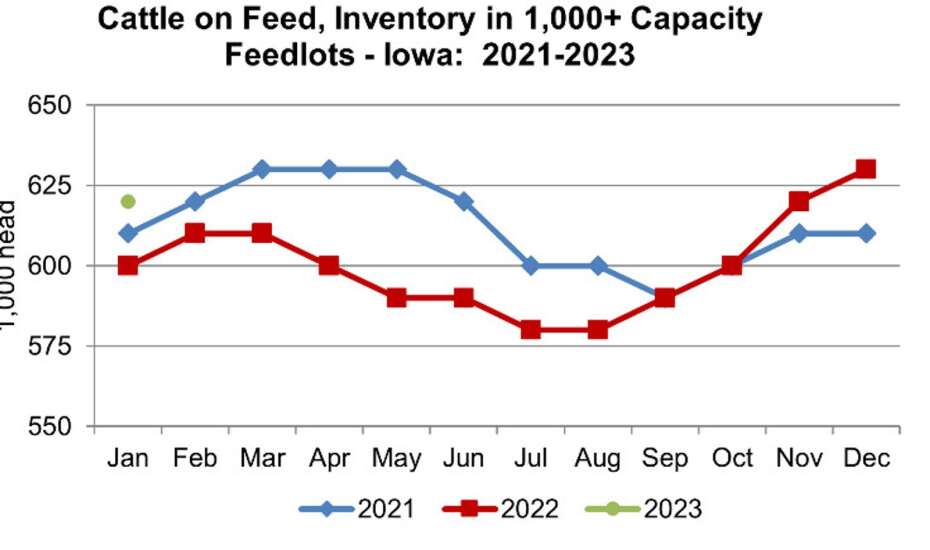 USDA gives cattle market update