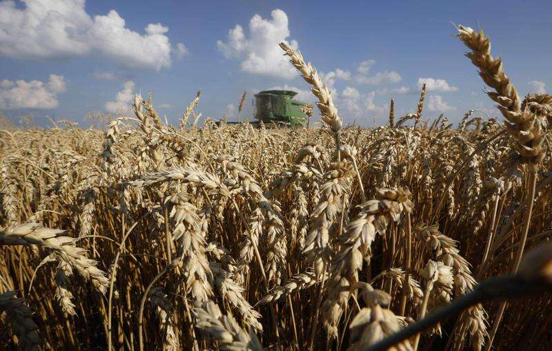 Thousands possibly defrauded in fake organic grain scheme
