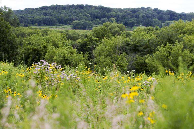 Report underscores benefits of Iowa’s preservation money, how much more could be done