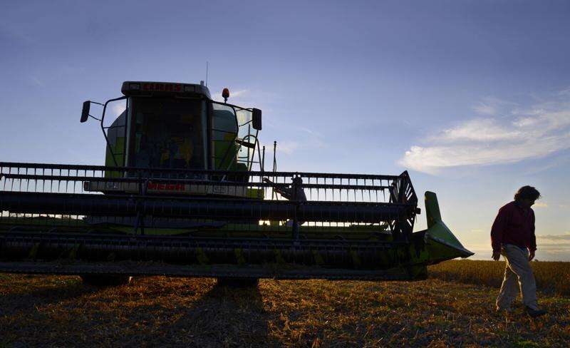 Big soy crop no help for biofuel makers overrun by imports