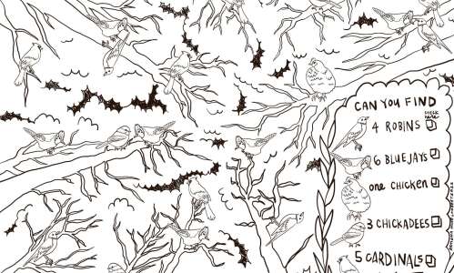 Can you find all the birds in this forest?