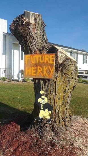 People turn tree debris and stumps from derecho into art