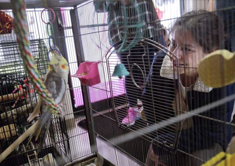 Adoptions begin after hundreds of animals seized from Vinton home