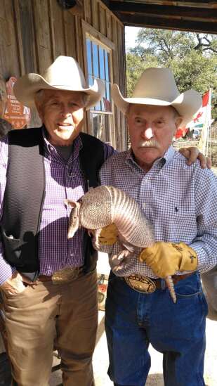 Move over groundhog, it's Armadillo Day