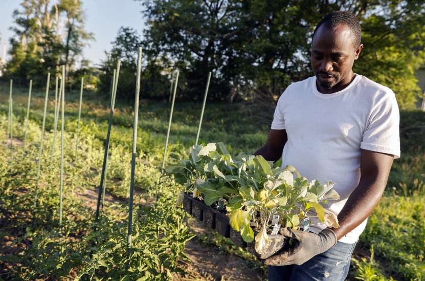 Immigrants find new path to agriculture through land access program