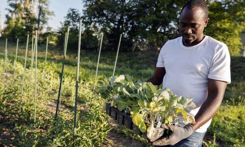 Program expansion gives immigrants a new shot at agriculture success