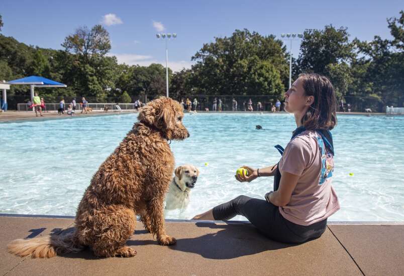 Dog paddle event at City Park Pool