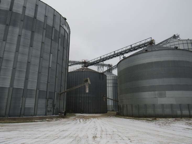 Grain elevators serve as corn market mediators
