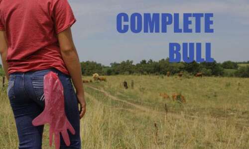 No bull, Iowa-based TV drama to feature cattle insemination