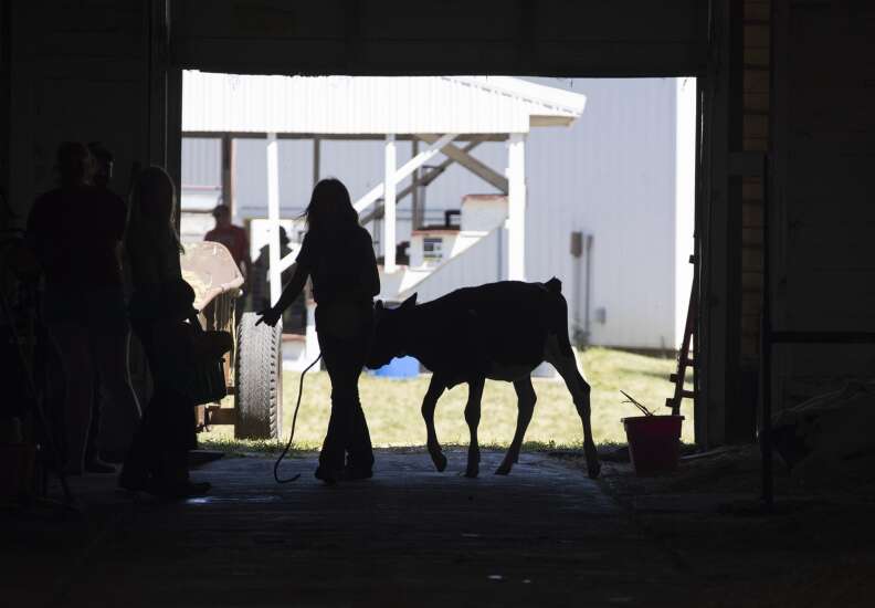 Rides, animals, smiles — all part of opening day at the Linn County Fair 