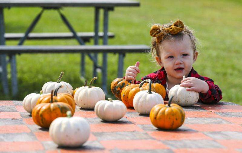 Iowa’s pumpkin patches, haunted houses adapt to pandemic’s limits