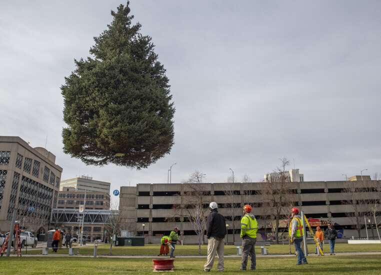 Cedar Rapids spruces up for annual Christmas tree lighting