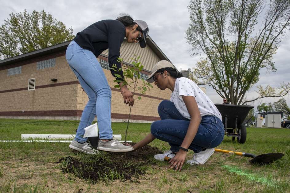 Tanvi (left) and Amulya Gopalam plant a tree Thursday in Marion. Students from the Marion Youth Council planted 15 trees at the city water department to kick off Marion’s 10-year plan to replenish its tree canopy. (Nick Rohlman/The Gazette)