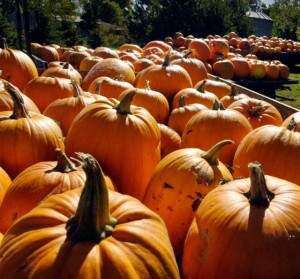 Pumpkinfest in the Amana Colonies is this weekend