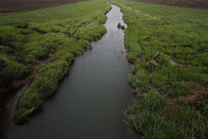 Cedar Rapids, partners to establish 6 wetlands to help with water quality, habitat on Cedar River