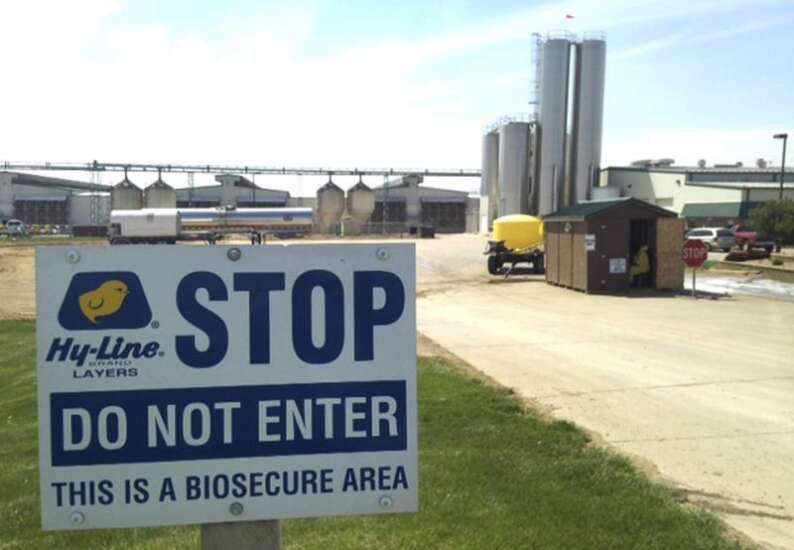$1 million grant helps Iowa State pursue biosecurity in wake of 2015 bird flu
