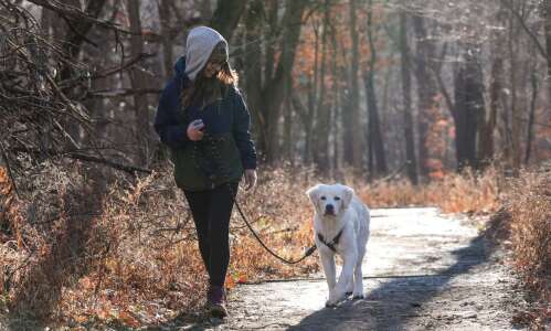Iowa City seeing increase in off-leash complaints