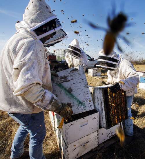 California drought leaves Iowa beekeepers dry