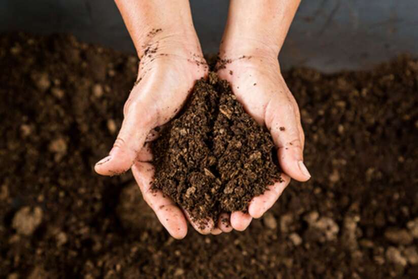 The Iowa Gardener: Does your garden have a good foundation?