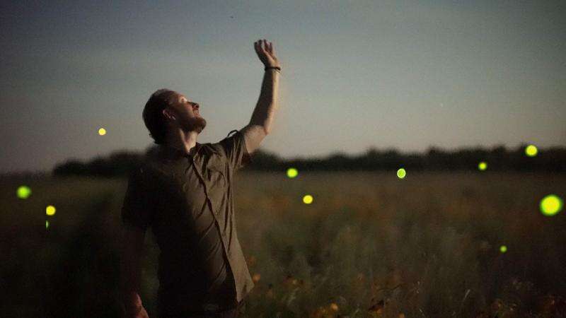 Capturing fireflies