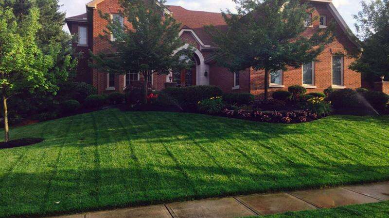 Good Neighbor Iowa to fight ‘perfect lawn mentality’