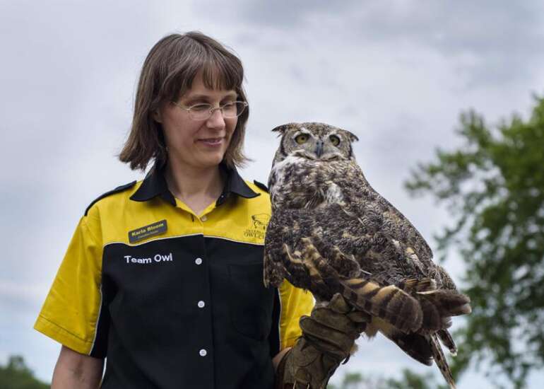 What a hoot: International Owl Center in Minnesota is a real eye-opener