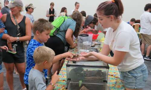 Washington library hosts insect zoo