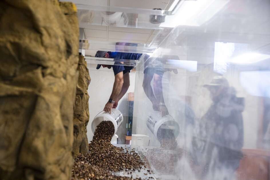 Under The Sea employee Nick Davis pours gravel March 29 into a 1,250-gallon aquarium at The Driftless Area Education and Visitor Center in Lansing. Under the Sea, an Oklahoma company specializing in large aquariums, installed the aquarium at the center. (Nick Rohlman/The Gazette)