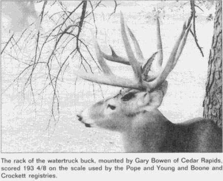 Time Machine: The Watertruck Buck roamed Cedar Rapids before fatal encounter
