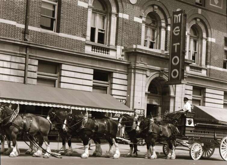 Time Machine: Wilson & Co.’s Clydesdales